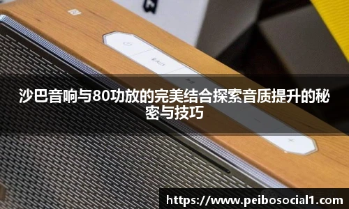 沙巴音响与80功放的完美结合探索音质提升的秘密与技巧