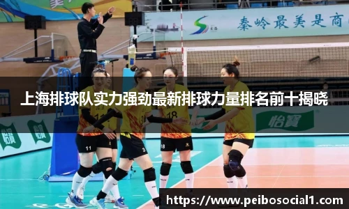上海排球队实力强劲最新排球力量排名前十揭晓