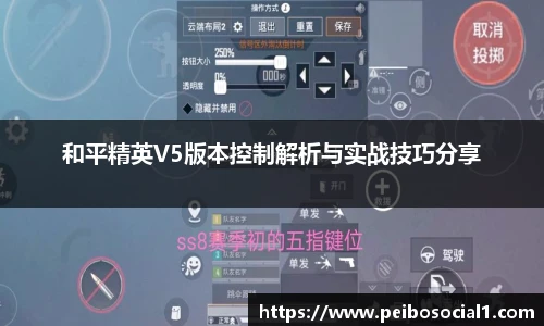 和平精英V5版本控制解析与实战技巧分享